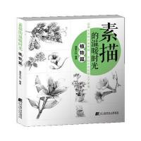 素描的温暖时光 植物篇