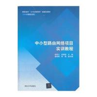 中小型路由网络项目实训教程