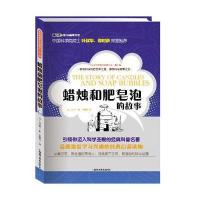 世界科普巨匠经典译丛 第二辑：蜡烛和肥皂泡的故事