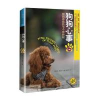 狗狗心事6：狗狗养育的七个年龄段