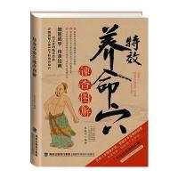 特效养命穴速查图解—牛皮卷典藏怀旧版