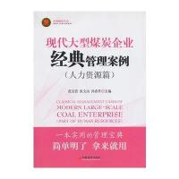 现代大型煤炭企业经典管理案例(人力资源篇)(一本实用的管理宝典 简单明了 拿来就用)