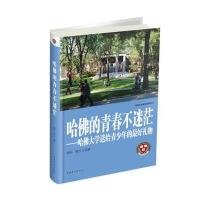 哈佛的青春不迷茫 : 哈佛大学送给青少年的礼物(精装)