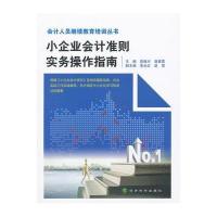 小企业会计准则实务操作指南