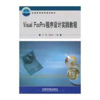 Visual FoxPro程序设计实践教程(21世纪高校计算机系列规划教材)