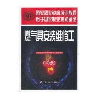 国家职业资格培训教程：燃气具安装维修工(初级)