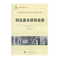 刑法基本原则适用
