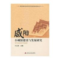 咸阳小城镇建设与发展研究