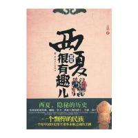 西夏其实很有趣儿