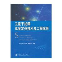 卫星干扰源双星定位技术及工程应用