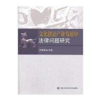 文化创意产业发展中法律问题研究