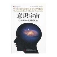 意识宇宙：心灵现象中的科学真相