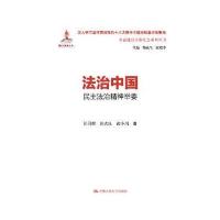 法治中国：民主法治精神举要(全面建设小康社会系列丛书)