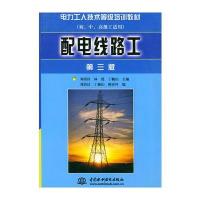 配电线路工(初中高级工适用)第三版——电力工人技术等级培训教材