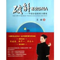 破解名企DNA--中国企业软实力建设