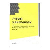 POD—产业集群形成机理与运行机制