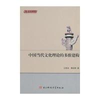 中国当代文化理论的多维构建 9787564719630