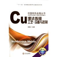 湿法炼铜工艺设备与控制