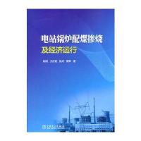 电站锅炉配煤掺烧及经济运行