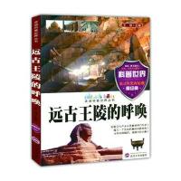 远古王陵的呼唤(走进科普世界丛书)