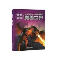 探索：魔兽世界