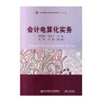 会计电算化实务