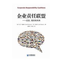 企业责任联盟：过去、现在和未来 9787516408605