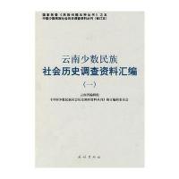 云南少数民族社会历史调查资料汇编(一)——中国少数民族社会历史调查资料丛刊132