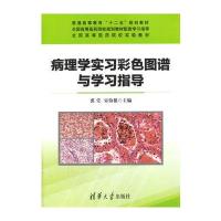 病理学实习彩色图谱与学习指导(普通高等教育十二五规划教材 全国高等医药院