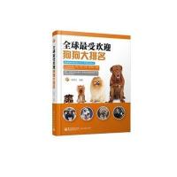 全球受欢迎狗狗大排名