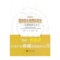 固体氧化物燃料电池——吃粗粮的大力士