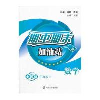 期中期末加油站 数学 七年级下(全国版)