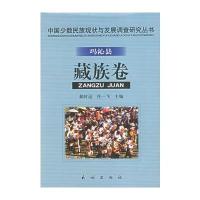 中国少数民族现状与发展调查研究丛书 玛沁县藏族卷