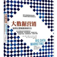 大数据营销:如何让营销更具吸引力 9787508645346