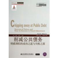 削减公共债务(财政调控的成功之道与失败之源)