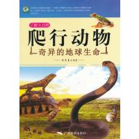 奇异的地球生命(爬行动物)