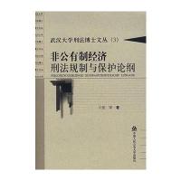 非公有制经济刑法规制与保护论纲——武汉大学刑法博士文丛