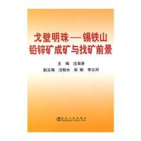 戈壁明珠--锡铁山铅锌矿成矿与找矿前景汪海涛
