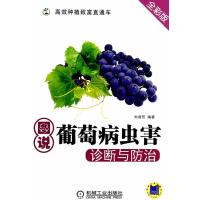 图说葡萄病虫害诊断与防治(高效种植致富直通车) 9787111465171