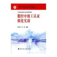 数控中级工认证强化实训/21世纪高职高专系列规划教材 9787303078042