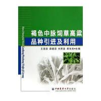 褐色中脉饲草高粱品种引进及利用