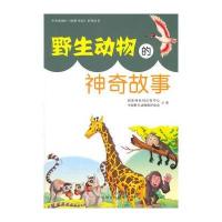 野生动物的神奇故事