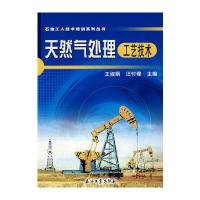天然气处理工艺技术 9787502165659