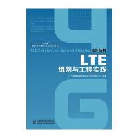 LTE组网与工程实践(“十二五”国家重点图书出版规划项目)