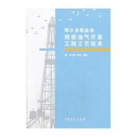 鄂尔多斯盆地致密油气开发工程工艺技术 9787511425249