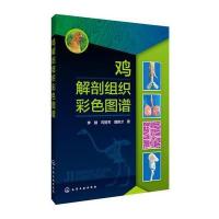 鸡解剖组织彩色图谱
