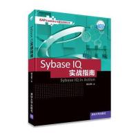 Sybase IQ 实战指南