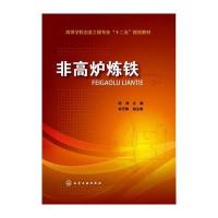 非高炉炼铁(陈津)