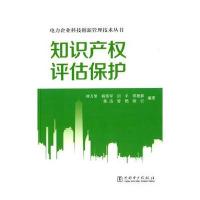 电力企业科技创新管理技术丛书 知识产权评估保护