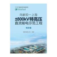 向家坝—上海±800kV特高压直流输电示范工程 综合卷
